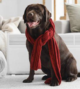 Check Your Heating and Radiators This December