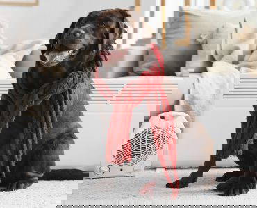 check-your-heating-and-radiators-this-december