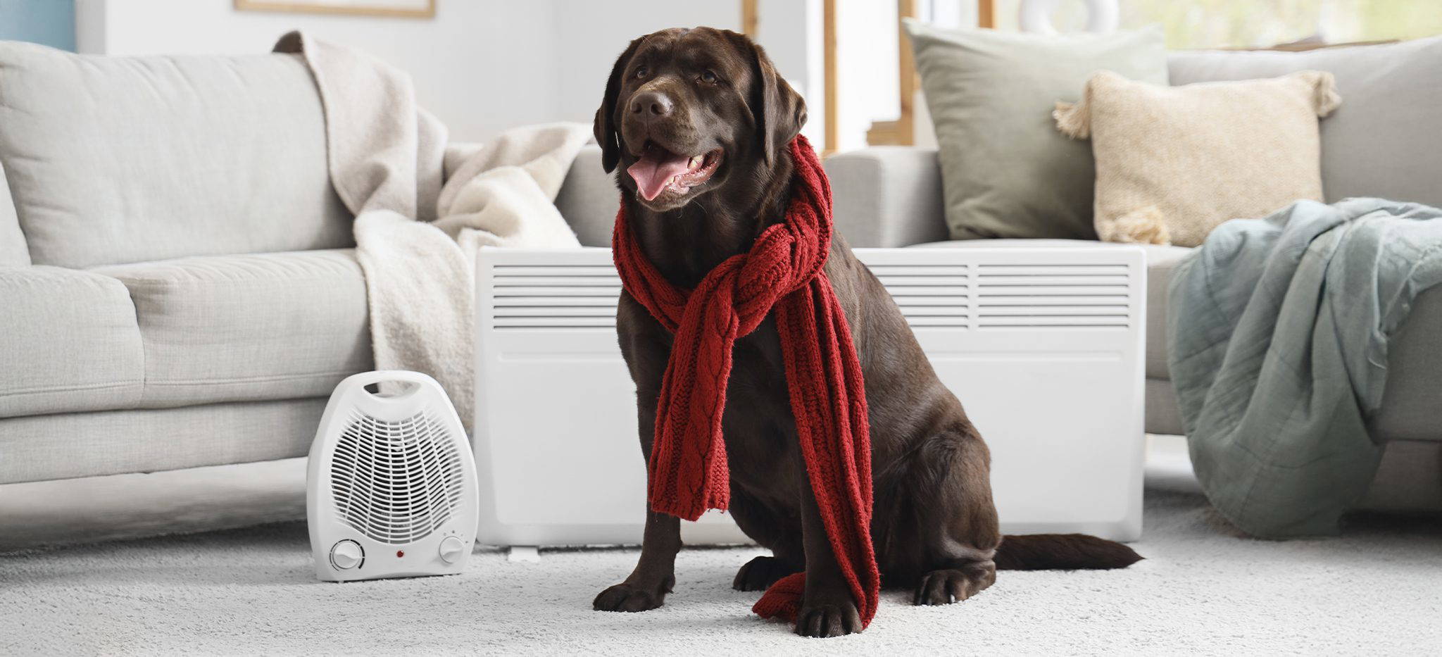 Check Your Heating and Radiators This December